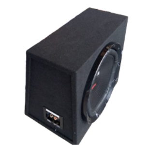 Sony XS-NW1202E Enclosed Subwoofer